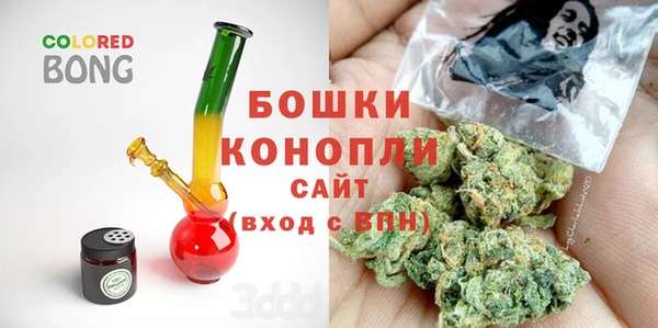 индика Тутаев