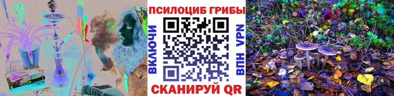 Галлюциногенные грибы GOLDEN TEACHER  Белгород 